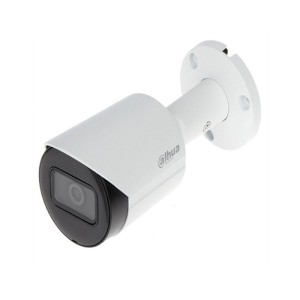 داهوا IPC-HFW2531SP-S-S2