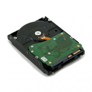 WD GOLD 6TB