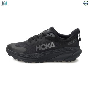 کفش مردانه هوکا چلنجر 7 گورتکس  مدل HOKA Challenger ART 7 GTX 1134501f bblc سایز 44