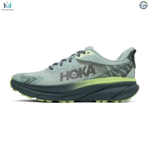 کفش هوکا چلنجر 7 گورتکس مدل HOKA Challenger ATR 7 GTX 1134501F-ALVR سایز 46