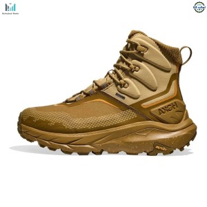 کفش هوکا کاها 2 فراست مدل Hoka Kaha 2 Frost GTX 1155194-HYW سایز 43