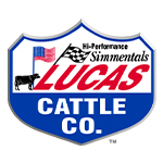 logo-img