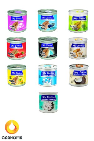 خوشبو کننده کنسروی اگزوتیکا 80 گرم (در 10 رایحه)