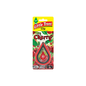 خوشبو کننده خودرو