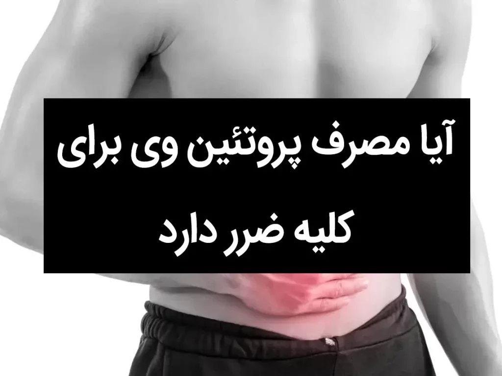 آیا مصرف پروتئین وی برای کلیه ضرر دارد؟