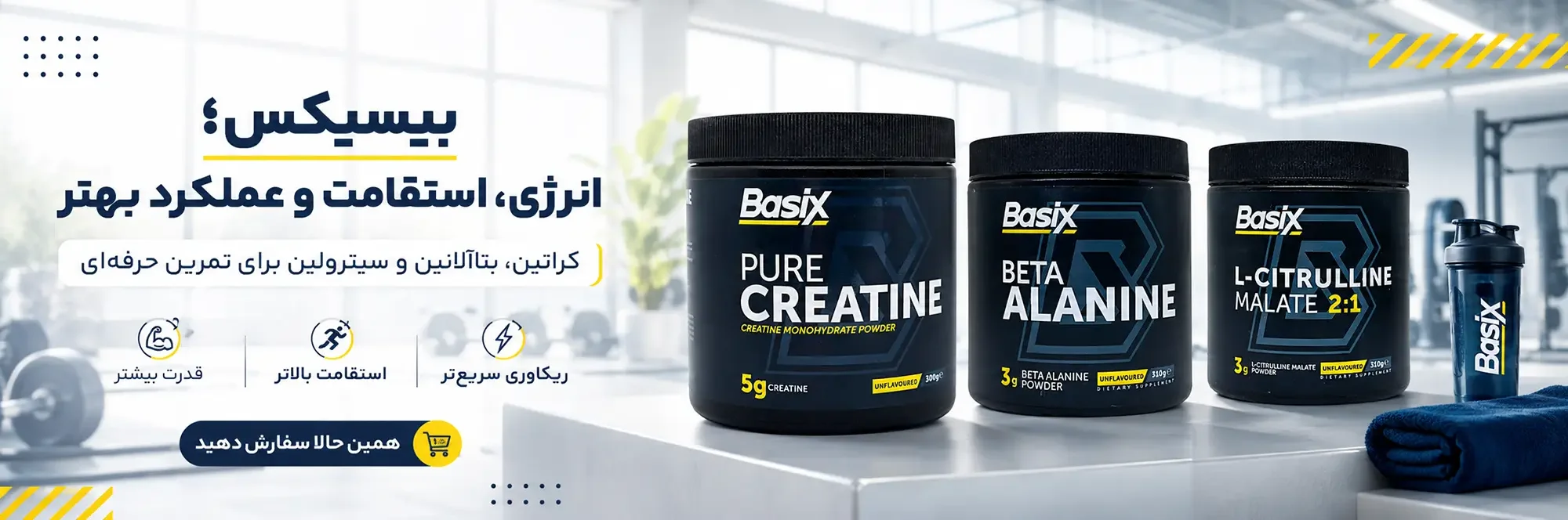 بیسیکس