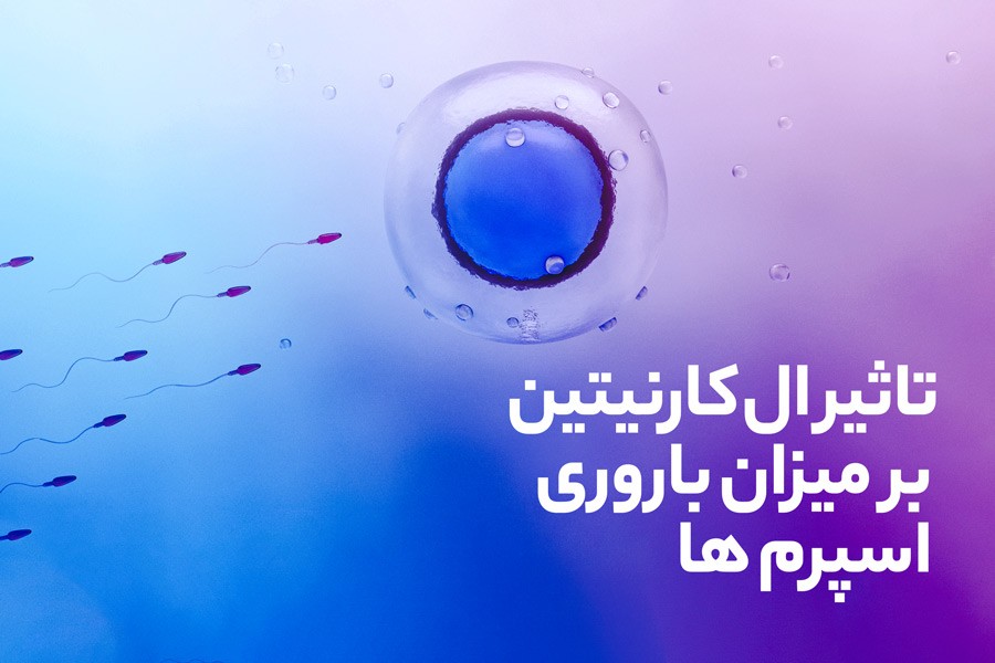 بررسی تاثیر ال کارنیتین در باروری و قوای جنسی مردان