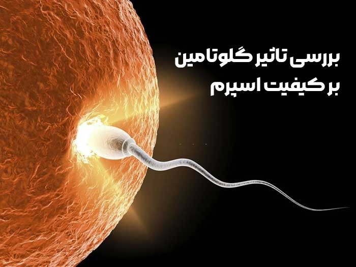 آشنایی با تاثیر مکمل گلوتامین بر اسپرم و عوارض جانبی این مکمل