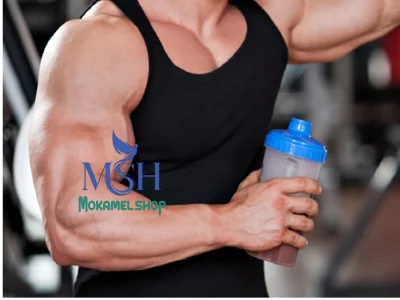 مهمترین نقش پروتئین در بدنسازی چیست؟