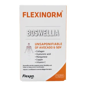 قرص فلکسی نورم فیشر فلکسان - 30 عددی