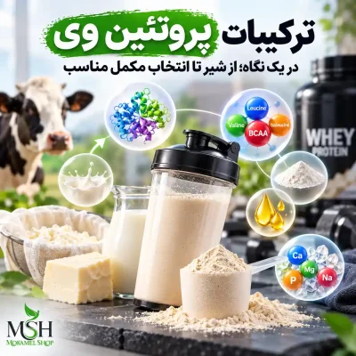 ترکیبات پروتئین وی چیست؟ بررسی مواد تشکیل‌دهنده پودر وی