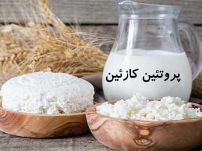 پروتئین کازئین چیست؟ روش و مقدار مصرف، مزایا و معایب