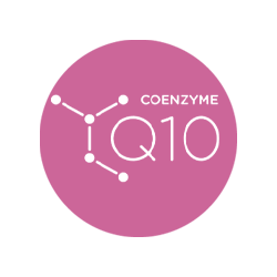 کیوتن