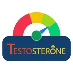 افزاینده تستسترون