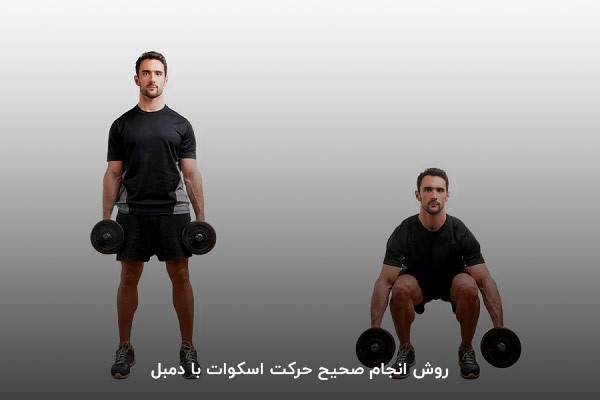 برنامه بدنسازی پا با حرکت اسکوات با دمبل