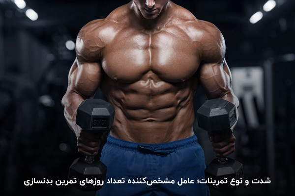 شدت و نوع تمرینات؛ یکی از عوامل تاثیرگذار در انتخاب روزهای هفته برای بدنسازی