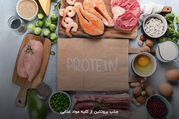 حفظ تعادل در میزان پروتئین مواد غذایی