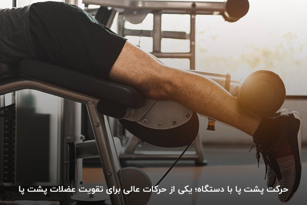 بهترین برنامه حجمی عضلات پا؛ حرکت پشت پا با دستگاه