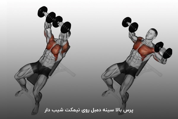 پرس بالا سینه دمبل روی نیمکت شیبدار در برنامه شش روزه بدنسازی