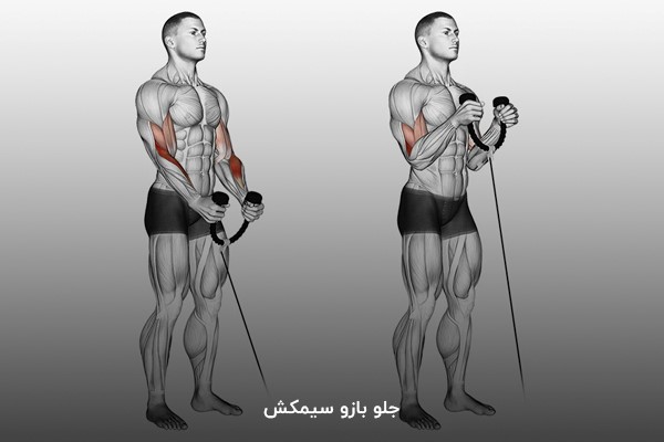 جلو بازو سیمکش در برنامه بدنسازی 6 جلسه در هفته