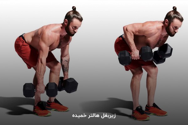 حرکت زیربغل هالتر خمیده در برنامه بدنسازی 6 روز در هفته مبتدی