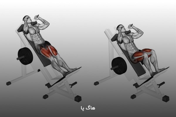هاگ پا در برنامه بدنسازی 6 جلسه در هفته