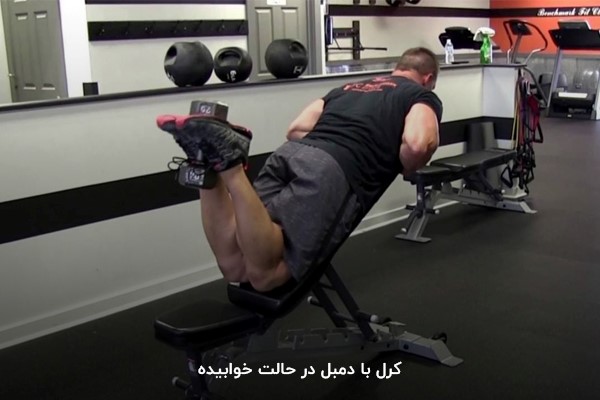 کرل با دمبل در حالت خوابیده در برنامه بدنسازی 6 روز در هفته حجمی