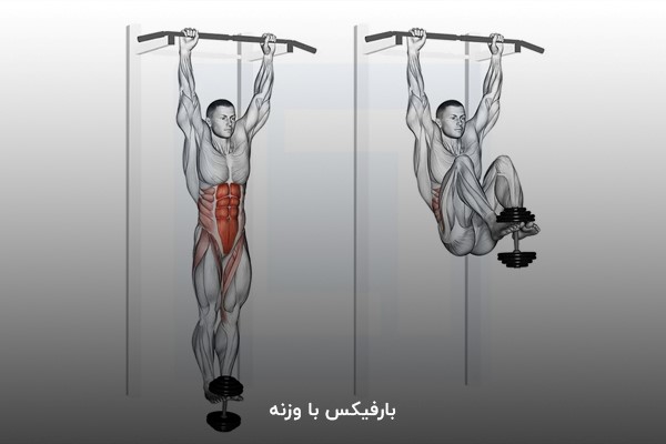 بارفیکس با وزنه در برنامه بدنسازی 6 روز در هفته حرفهای