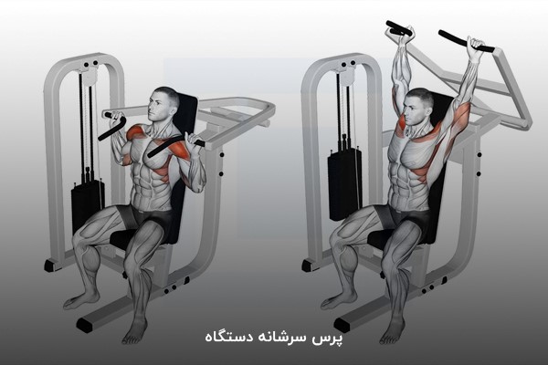 پرس سرشانه دستگاه در برنامه بدنسازی 6 روز در هفته حجمی