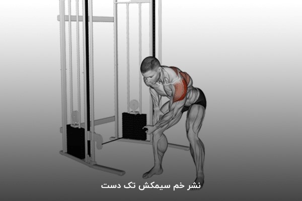 نشر خم سیمکش تک دست در برنامه بدنسازی 6 روز در هفته