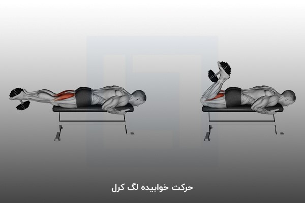 حرکت خوابیده لگ کرل در برنامه بدنسازی 6 روز در هفته در خانه