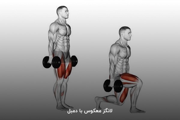 لانگز معکوس با دمبل؛ روز چهارم برنامه بدنسازی 6 روزه