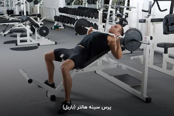 حرکت پرس سینه هالتر (باربل) در برنامه بدنسازی 6 روز در هفته حرفهای