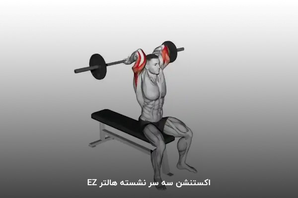حرکت اکستنشن سه سر نشسته هالتر EZ برای عضلهسازی برنامه بدنسازی 6 روز در هفته