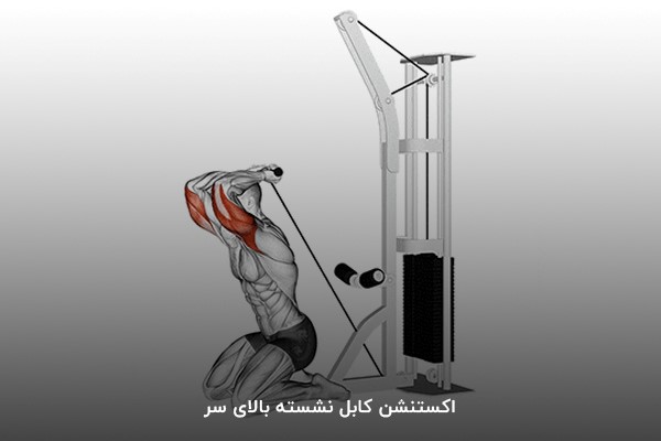 اکستنشن کابل نشسته بالای سر در برنامه بدنسازی 6 روز در هفته مبتدی