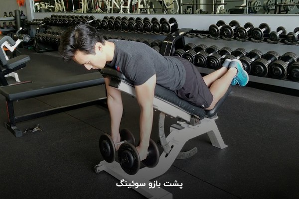 حرکت پشت بازو سوئینگ در برنامه بدنسازی شش روز در هفته عضلهسازی