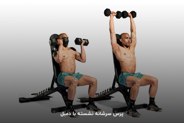 پرس سرشانه نشسته با دمبل در برنامه بدنسازی 6 روز در هفته مبتدی