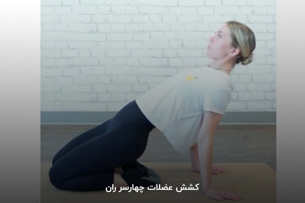 کشش عضلات چهارسر ران در برنامه بدنسازی 6 روز در هفته عضلهسازی