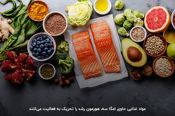 مواد غذایی محرک هورمون رشد؛ بهترین خوراکیها برای افزایش هورمون رشد