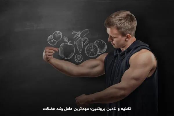 تغذیه؛ مهمترین فاکتور افزایش عضلات برای افراد لاغر