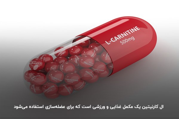 افزایش میزان تولید اسپرم با مصرف ال کارنیتین