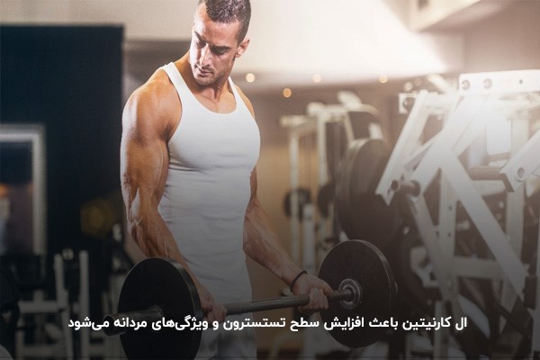 بررسی تاثیر ال کارنیتین بر سطح تستسترون آقایان