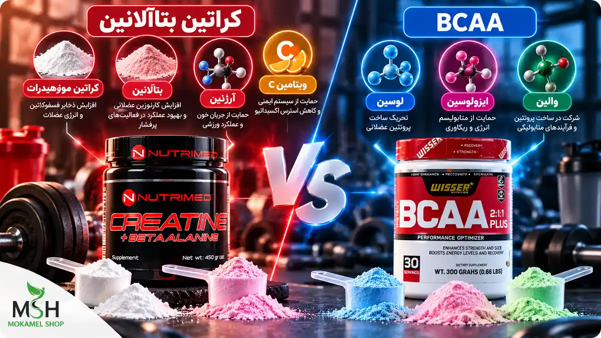 What is the difference in the composition of creatine, beta-alanine, and BCAAs