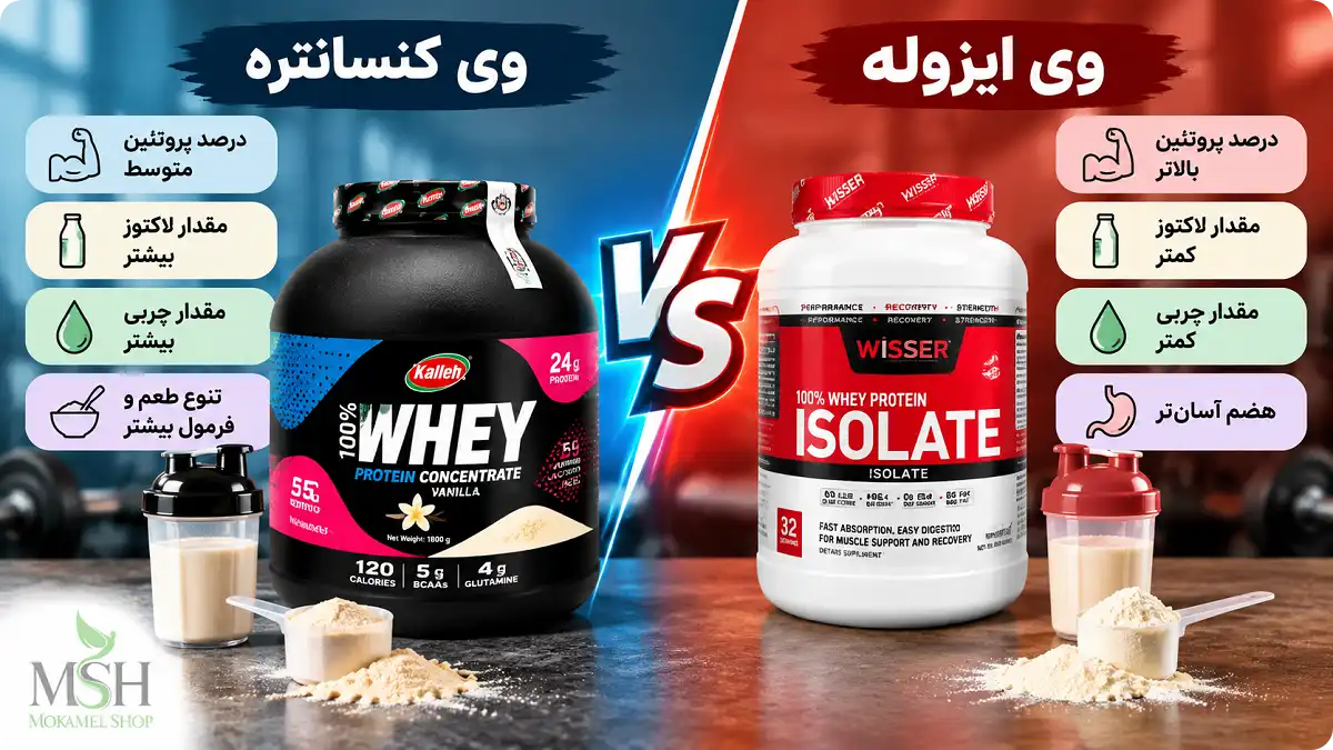 تفاوت درصد پروتئین وی کنسانتره و ایزوله
