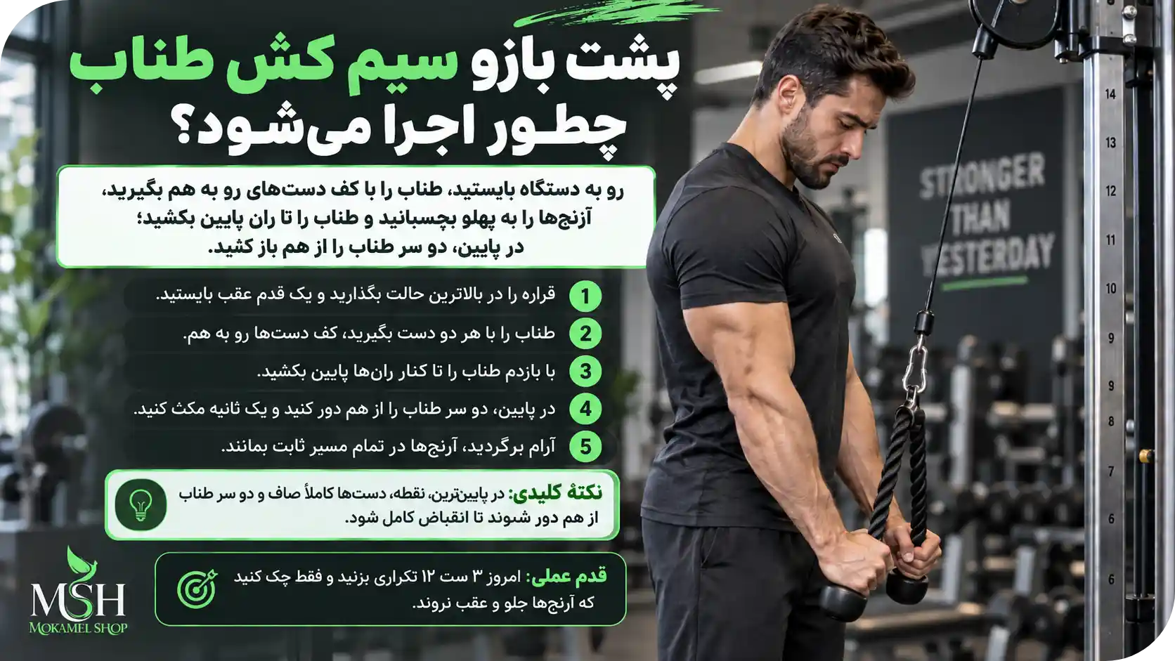 پشت بازو سیم کش طناب چطور اجرا میشود