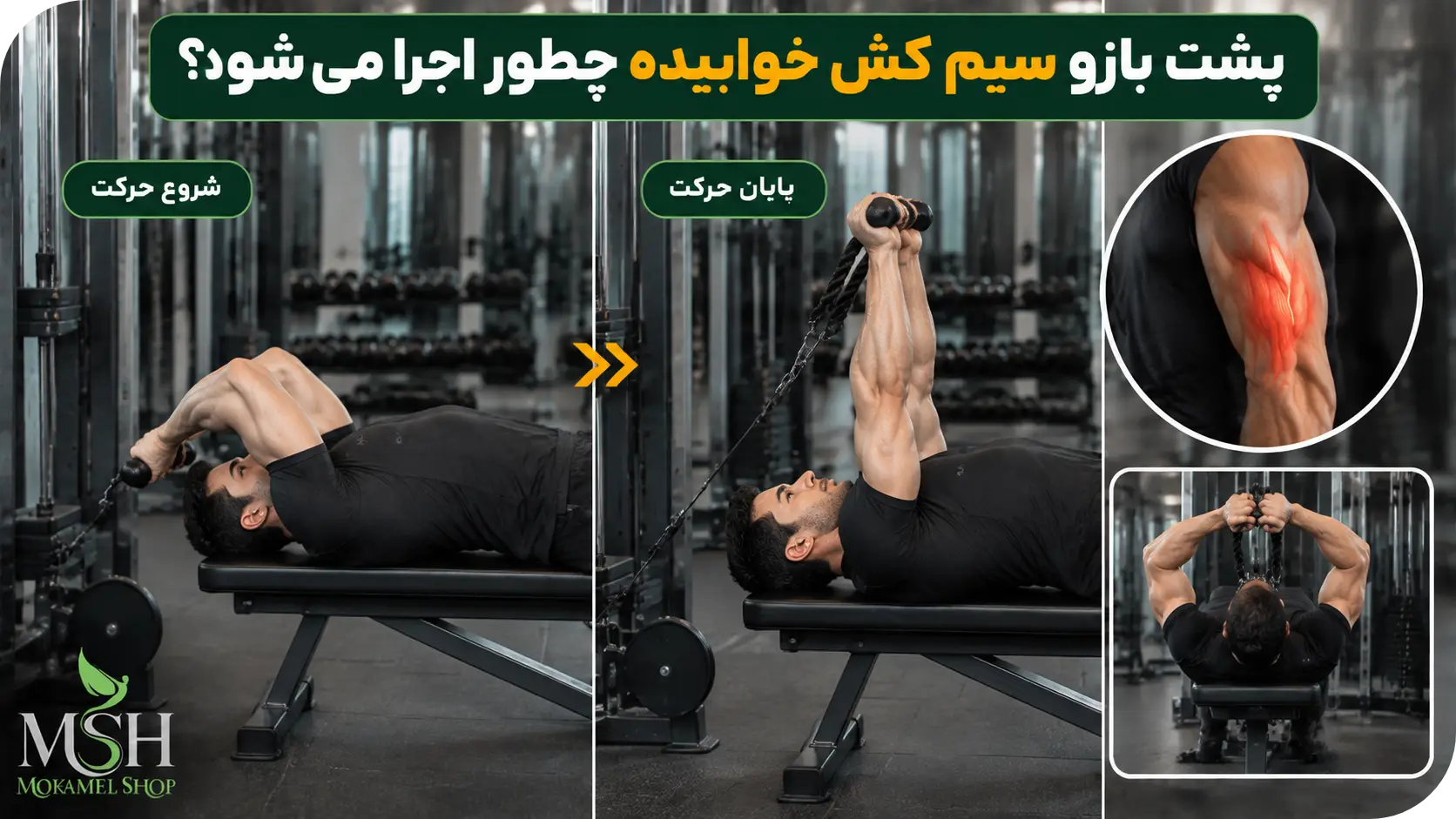 پشت بازو سیم کش خوابیده چطور اجرا میشود