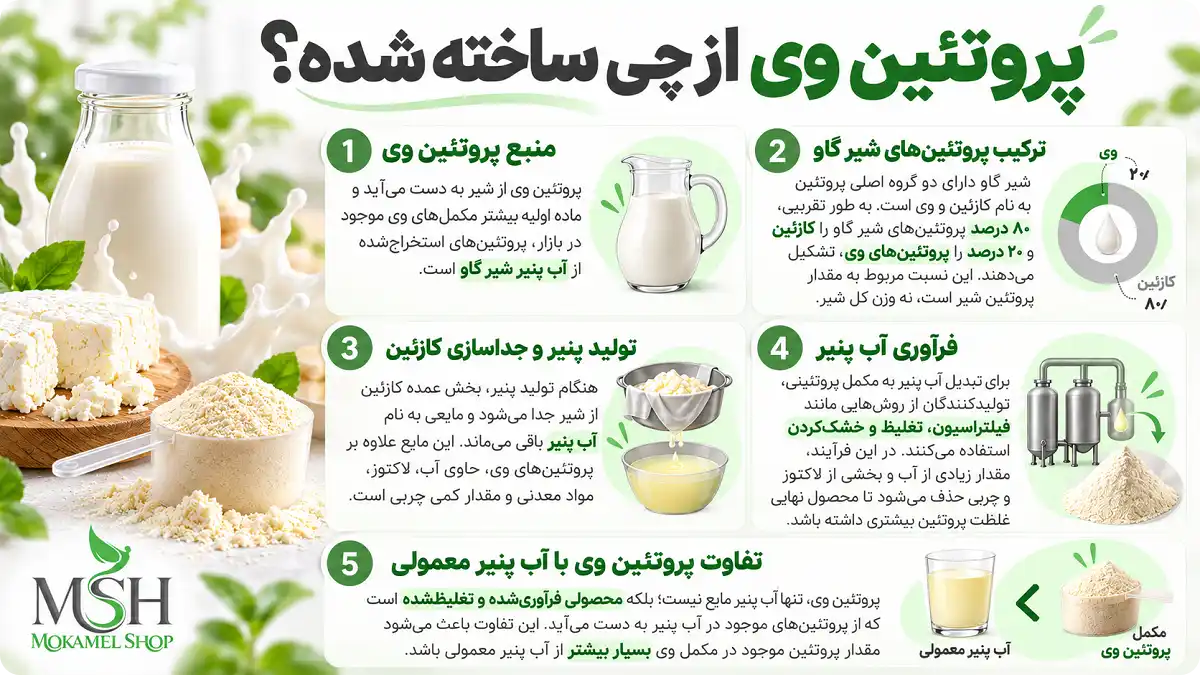 پروتئین وی از چی ساخته شده؟