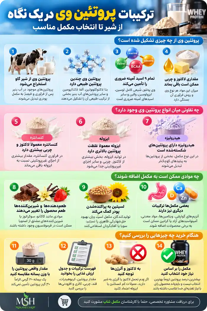ترکیبات پروتئین وی در یک نگاه