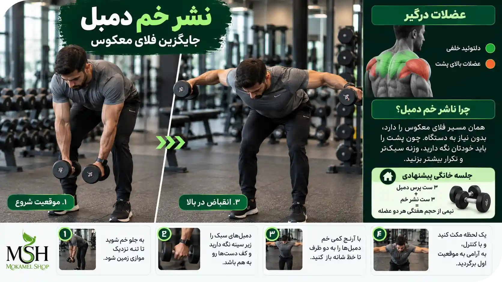 نشر خم دمبل جایگزین فلای معکوس