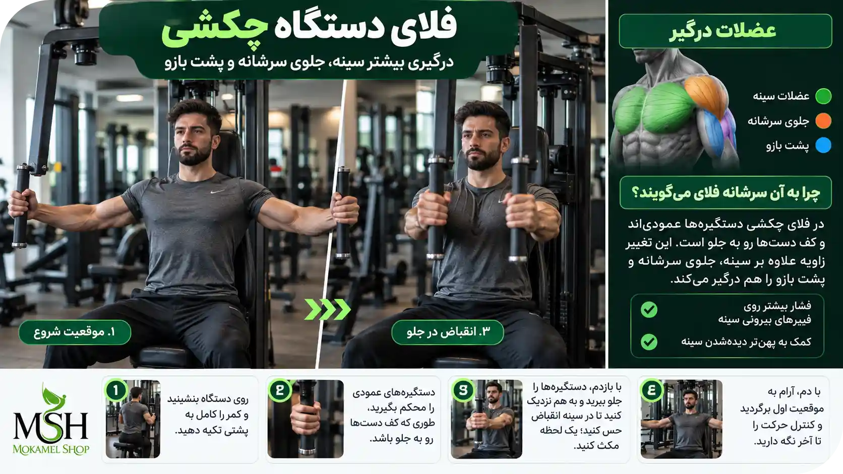 فلای دستگاه چکشی درگیری بیشتر سینه جلوی سر شانه و پشت بازو